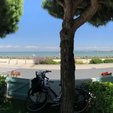 Petit Re-ve ! Lägenhet